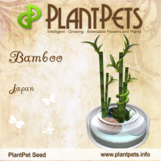 PlantPet Seed [Bamboo *Japan*]