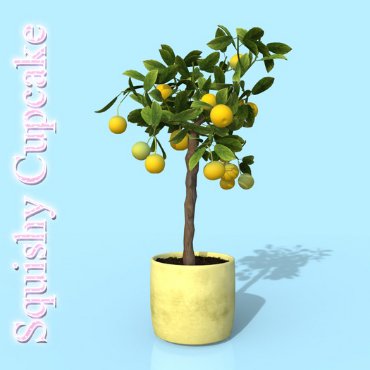 Yellow Lemon Tree Pot
