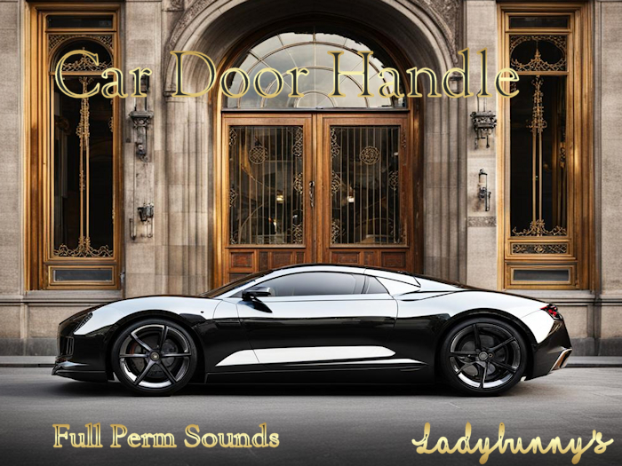 Bunny's sounds -Car Door Handle