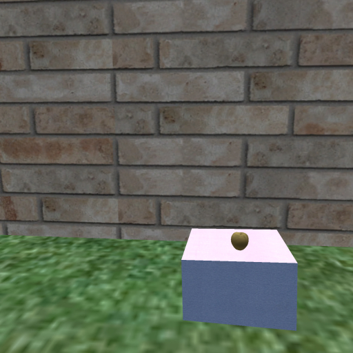 {Papillon} Fe/Dim/Pal/EmD/DarkA/Turtle Egg