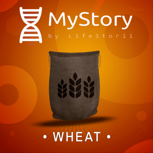 MyStory Wheat x 25