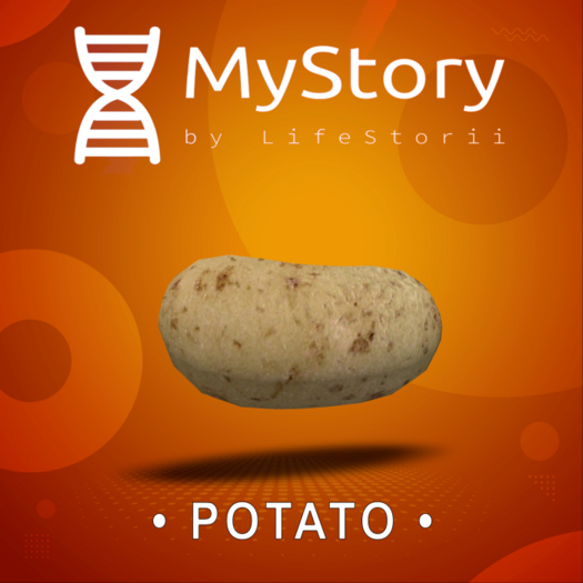 MyStory Potato x 50
