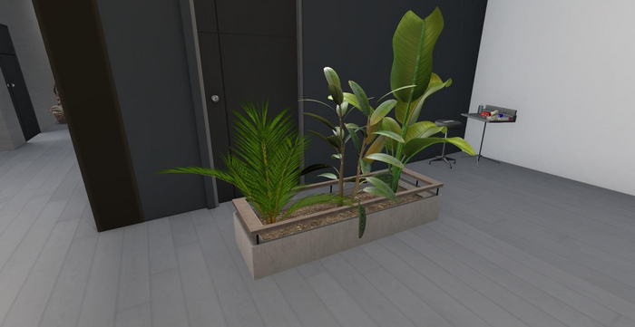 01 +Dd+ Plants 2 - Planter Medium Palm