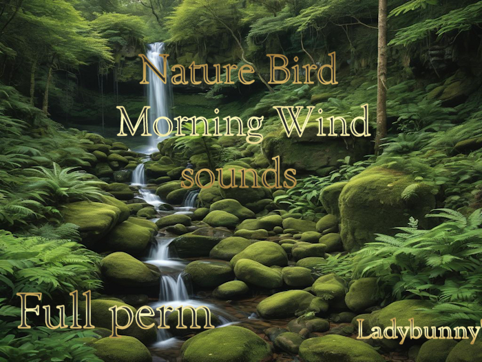 Bunny's Music -Nature Bird Morning Wind-full perm sounds