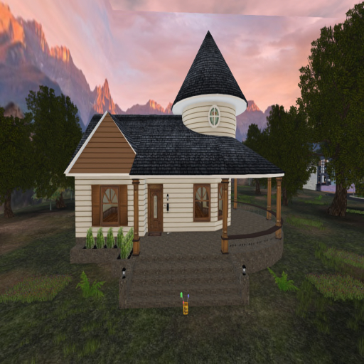 Small Victorian Home TW