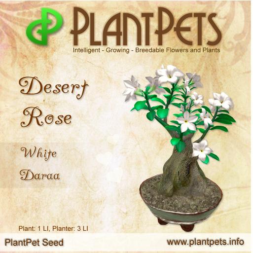 PlantPet Seed [Desert Rose *White Daraa*]