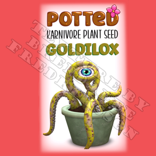 Potted: Karnivore Plant Seed: Goldilox (ACTUAL PLANT SEED) - Retired!