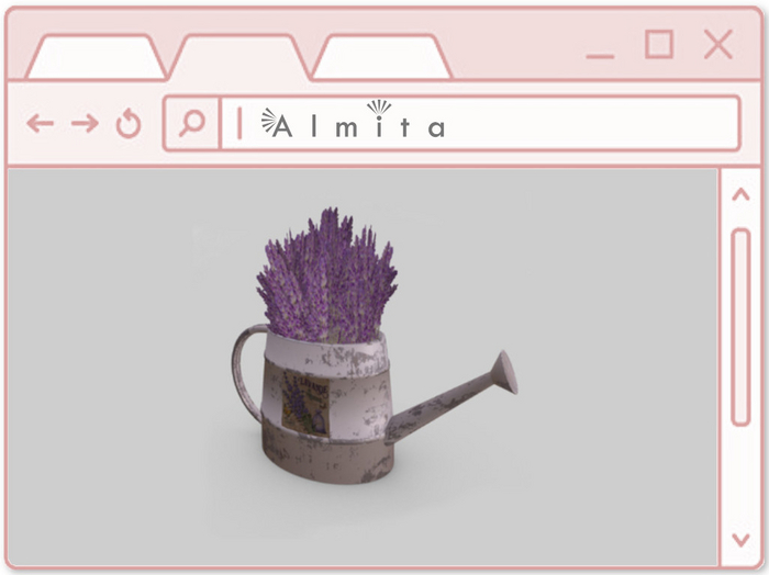 Almita - Lavande de Provence