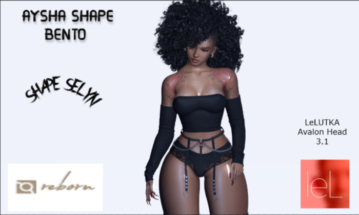 AYSHA  -  SHAPE SELYN