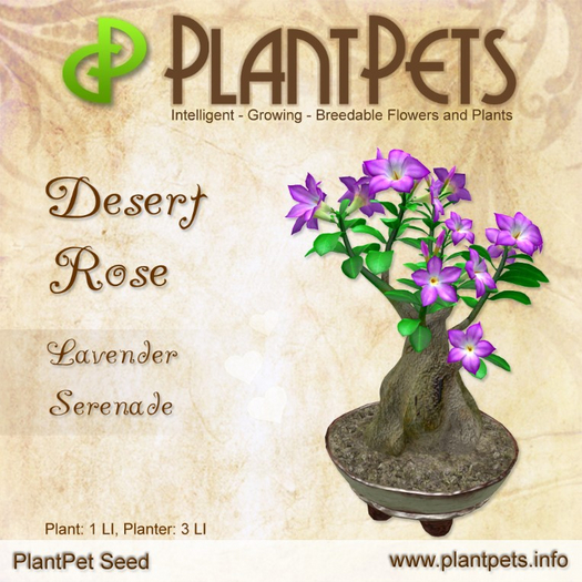 PlantPet Seed [Desert Rose *Lavender Serenade*]