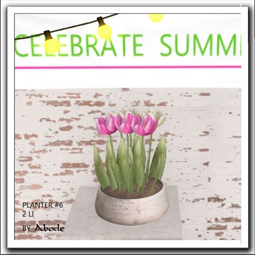 ABODE Summer Planter 6
