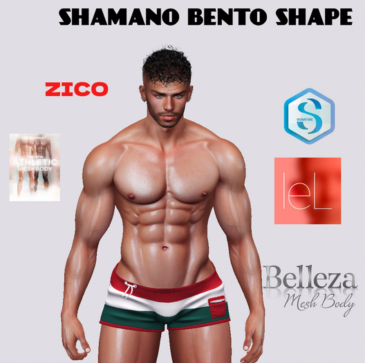 Shape ZICO QUIN Head