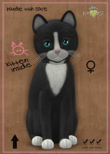 MEGAPUSS: KittyCatS Box - Chateau Cat - Slate & White No. 1 - MegaPuss