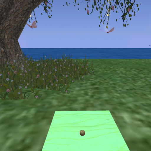 {Papillon} Ma/Pyg/Dul/EmD/DarkA/Turtle Egg