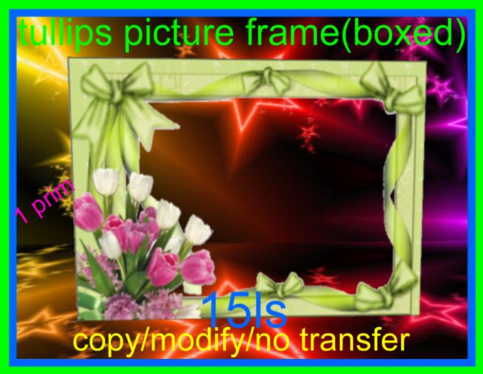 Tulip frame(boxed)
