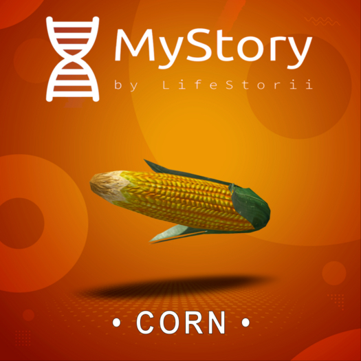 MyStory Corn x 50
