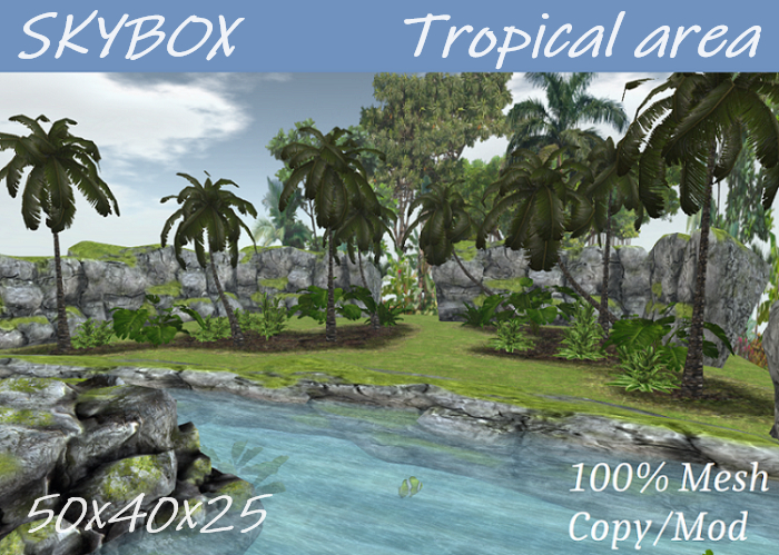 SKYBOX - Tropical Area 50x40x25
