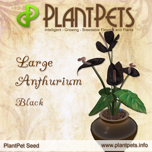 PlantPet Seed [Large Anthurium *Black*]