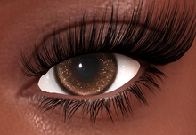 8. LOTUS. Hwan Eyes  [boxed] - SALE !