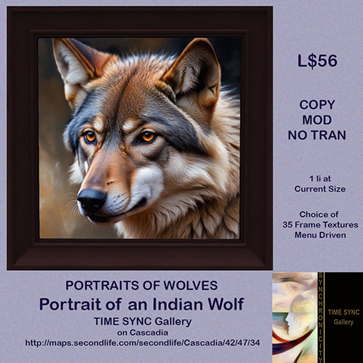 Portrait of an Indian Wolf