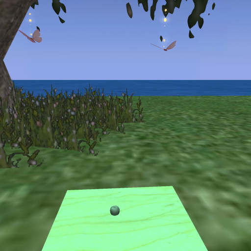 {Papillon} Ma/Pyg/Nor/EmE/DarkA/Turtle Egg