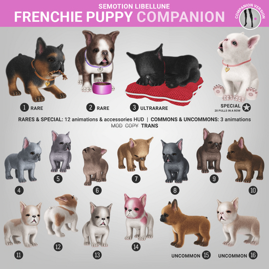 SEmotion Libellune Frenchie Puppy Companion COMMON 14