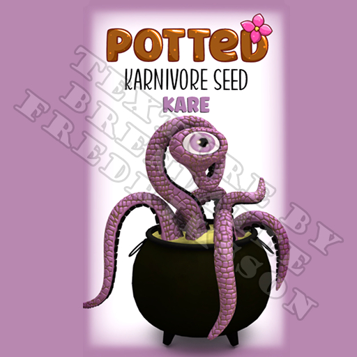 Potted: Karnivore Plant Seed: Kare (ACTUAL PLANT SEED)
