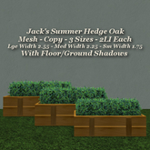 Jack's Summer Hedge Oak