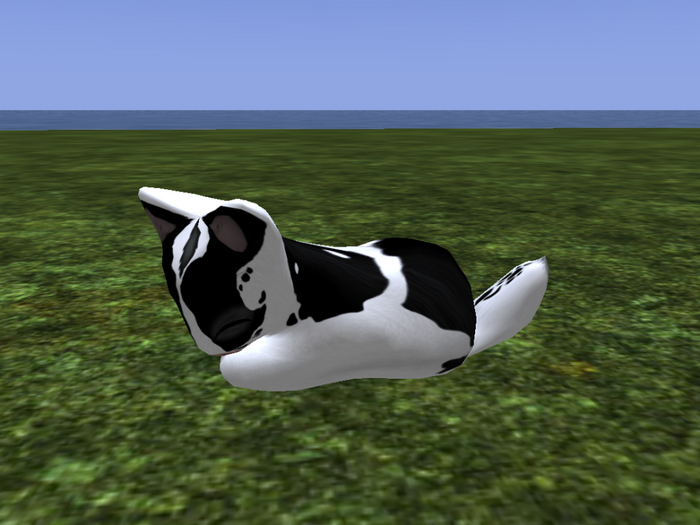 Stray Cats Kitten - Stray Kitty (M)