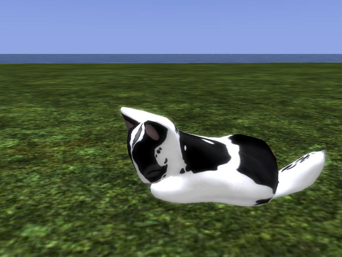 Stray Cats Kitten - Stray Kitty (M)