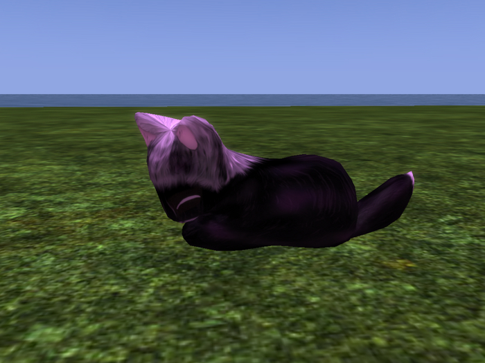 Stray Cats Kitten - Stray Kitty (F)