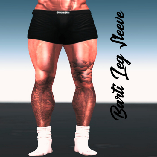 PBi - Barti Leg Sleeve