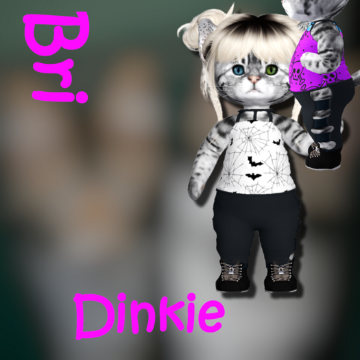 Dinkie ~Z~ Bri (please add)