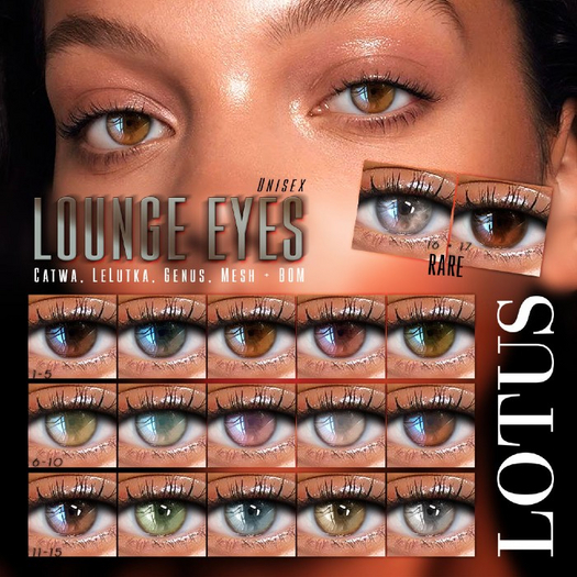 LOTUS. Lounge Eyes 06 BOX