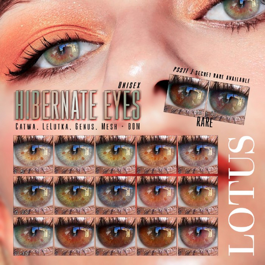 LOTUS. Hibernate Eyes 07 BOX