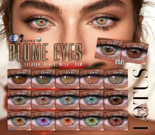 LOTUS. Blume Eyes 04 BOX