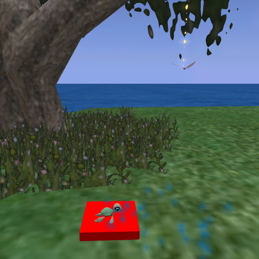 {Papillon} Turtle v1.1