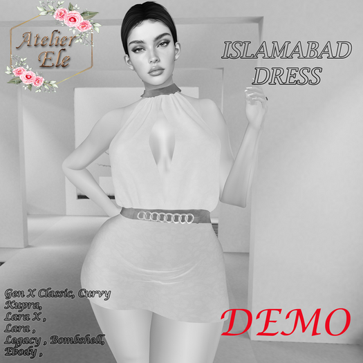 {AE} [ DEMO ]  ISLAMABAD DRESS