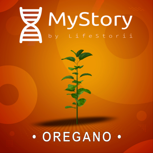 MyStory Oregano x 5