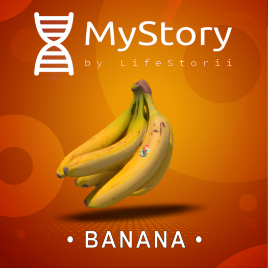 MyStory Banana x 50