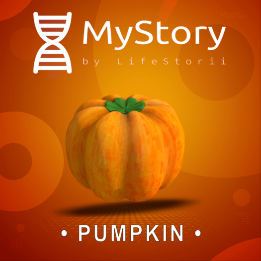 MyStory Pumpkin x 50