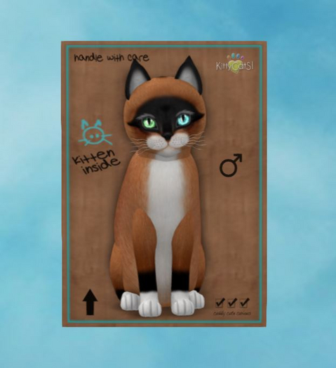 Foxie - Red Mask -wild