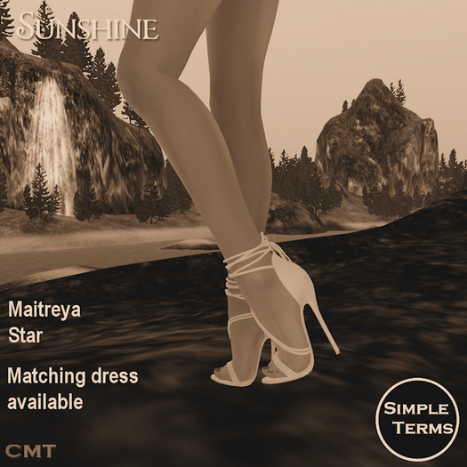 Sunshine Shoes - DEMO