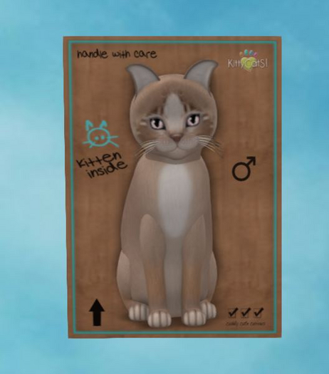 KittyCatS Box - Genesis - Mocha II - Petite 1