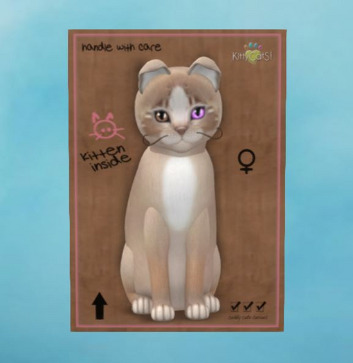 Genesis - Mocha II - Petite