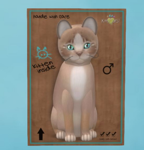 Genesis - Mocha II - Teacup