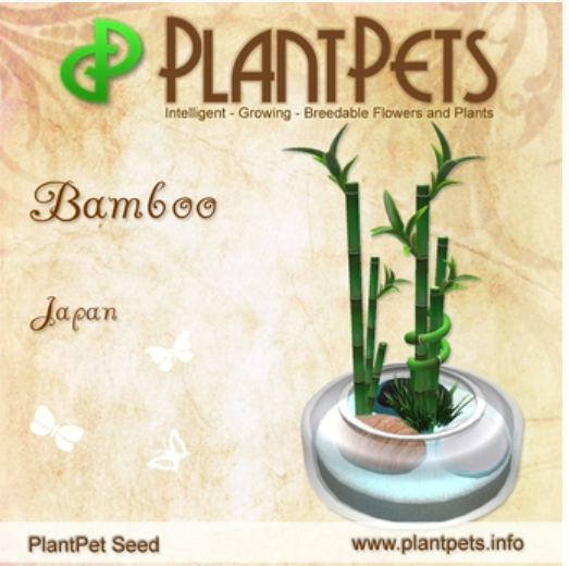 PlantPet Seed [Bamboo *Japan*]