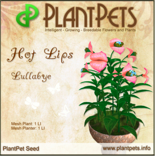 PlantPet Seed [Hot Lips *Lullabye*]