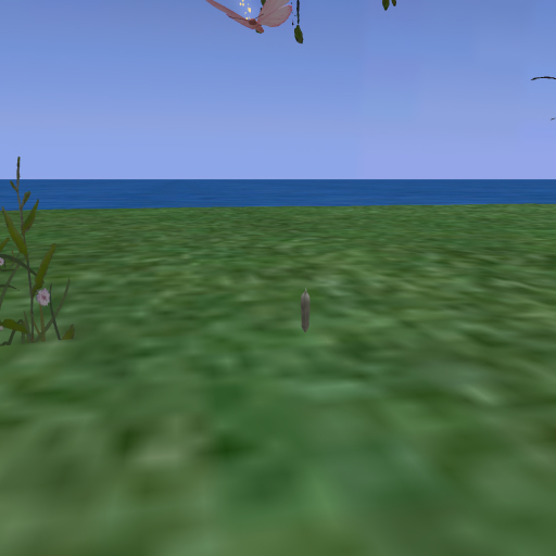 {Papillon} Ma/Tin/Nor/Fey/Butterfly Cocoon