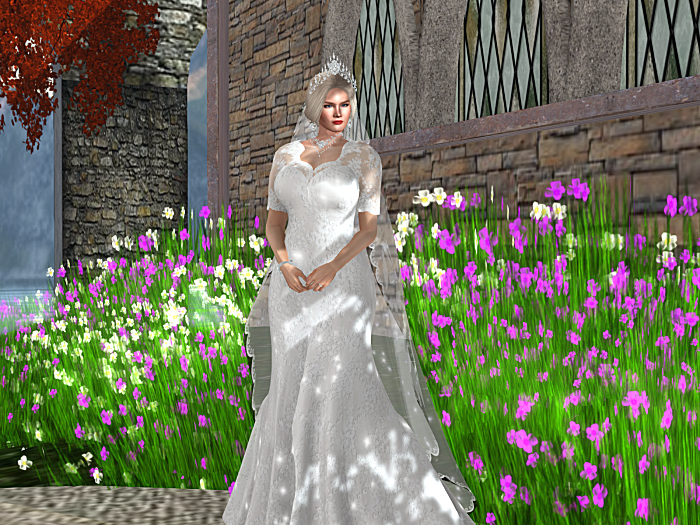 Princess Grace Bride Packaged